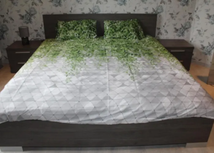 Janine Feriehus Oostende